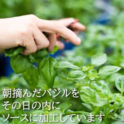 ふるさと納税 日高町 濃厚・無添加　バジルソース(ジェノベーゼソース)　パックタイプ　100g×3袋 |  | 02