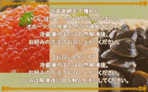 いくら・ほたて・しじみ オホーツク味覚セット（網走市産）【 ふるさと納税 人気 オススメ ランキング いくら イクラ イクラ醤油 いくら醤油 ほたて 帆立 ホタテ 帆立貝柱 ホタテ貝柱 しじみ シジミ