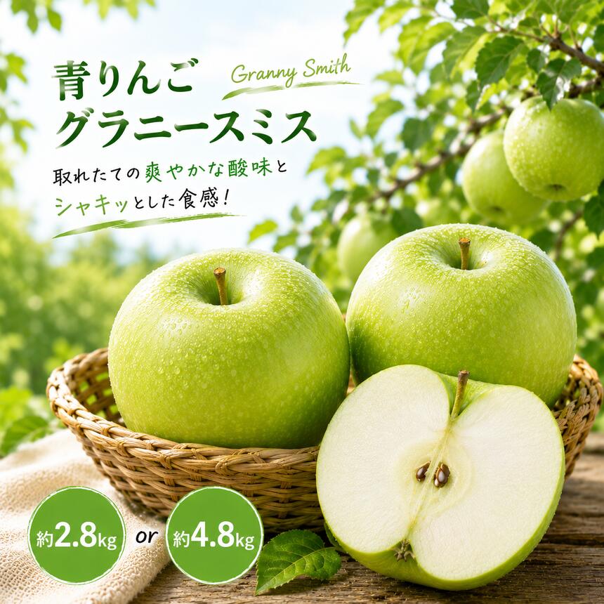 【ふるさと納税】 選べる 内容量 先行予約 青りんご グラニースミス 約2.8kg or 約4.8kg ［小布施屋］| りんご 青りんご フルーツ 果物 グラニースミス 長野県産 信州産 令和8年産【2026年11月上旬～2027年2月下旬発送】