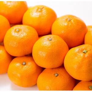 田村みかん 秀品 約5kg【小玉サイズ】約70～80果/和歌山県湯浅町田村地区産/産地直送【1341609】