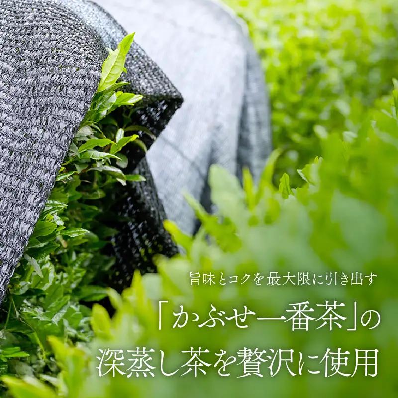 特上煎茶 清紹庵 100g（ 100g×1本 ） KN162-001-01 茶