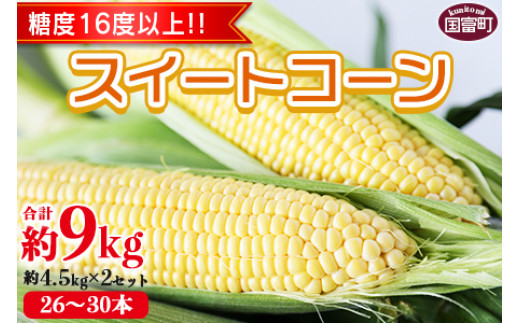 
期間限定！予約受付！＜宮崎県産 スイートコーン 約9kg（約4.5kg×2箱）＞2025年5月下旬～6月中旬迄に順次出荷【 先行予約 穀物 野菜 甘い 季節限定 とうもろこし おやつ ご飯 スープ サラダ BBQ 屋台 】
