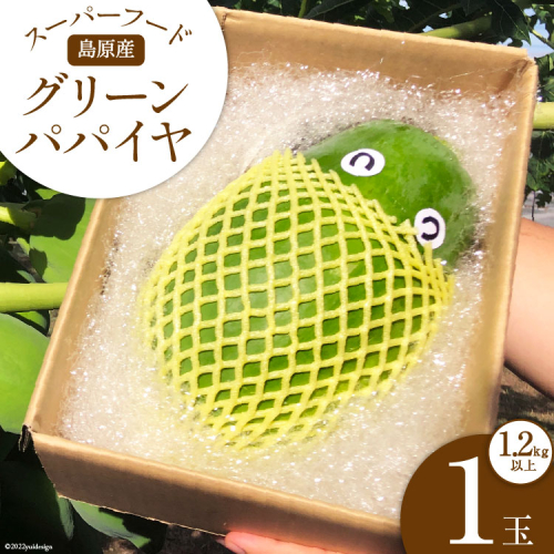 AG058【数量限定】島原産 グリーンパパイヤ 1.2kg以上×1玉