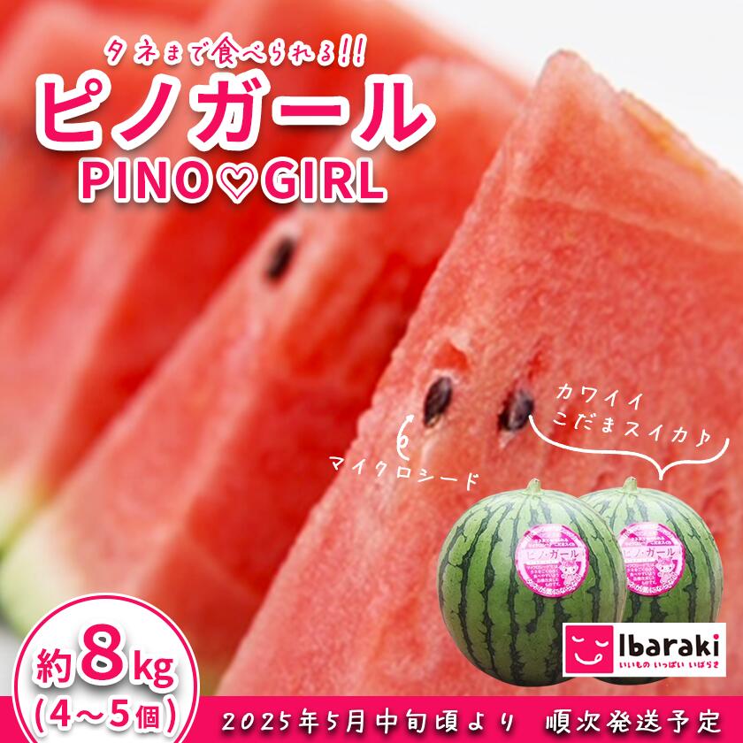 【ふるさと納税】茨城県産ピノガール約8kg（4～5個） 先行予約【2025年5月中旬～6月中旬ごろ発送予定】 茨城県産 フルーツ 果物 くだもの すいか スイカ 西瓜