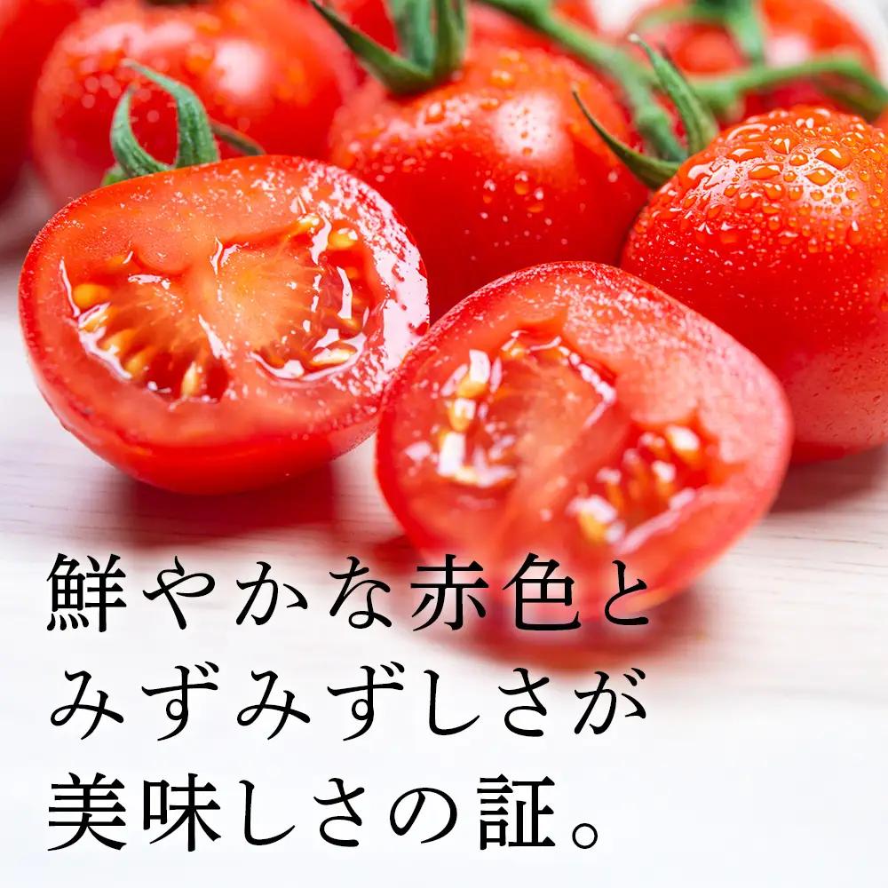 【2026年発送】〈萬福農研〉産地直送！ミニトマト(プレミアムルビー) 1kg