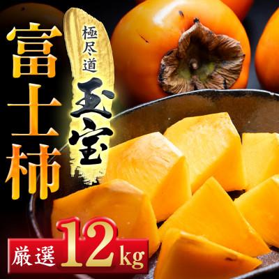 ふるさと納税 八幡浜市 【堂々たる大玉】ずっしり濃密【富士柿】12kg　愛媛県産【64-94】