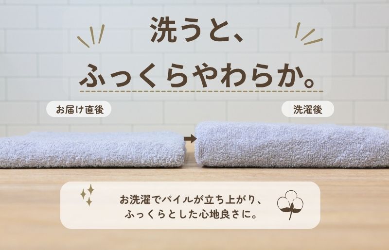 デイリーフェイスタオル 10枚セット (ライトグレー・サンドベージュ）【国内製造 日本製 泉州タオル 無地 吸水力 耐久性】 015B690
