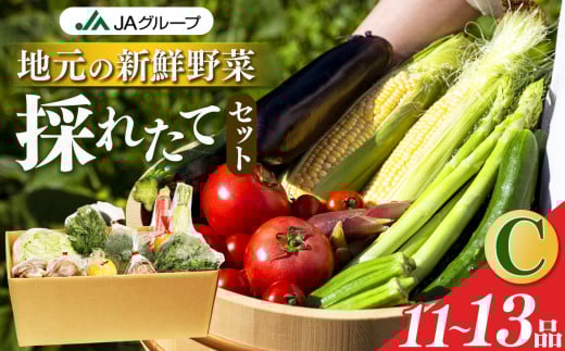 季節の野菜セットC | ヤサイ 野菜 やさい 詰め合わせ セット せっと 詰合せ 組み合わせ まとめ マトメ 奈良県 五條市 果物 新鮮 季節 お試し バーベキュー BBQ おすすめ 冬 春 夏 秋 国産 季節の野菜
