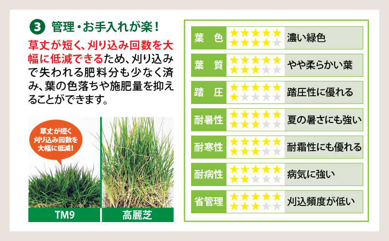 TM9（ティーエムナイン）省管理型コウライシバ トヨタ自動車(株)開発品種 1平米　KN080-007-01