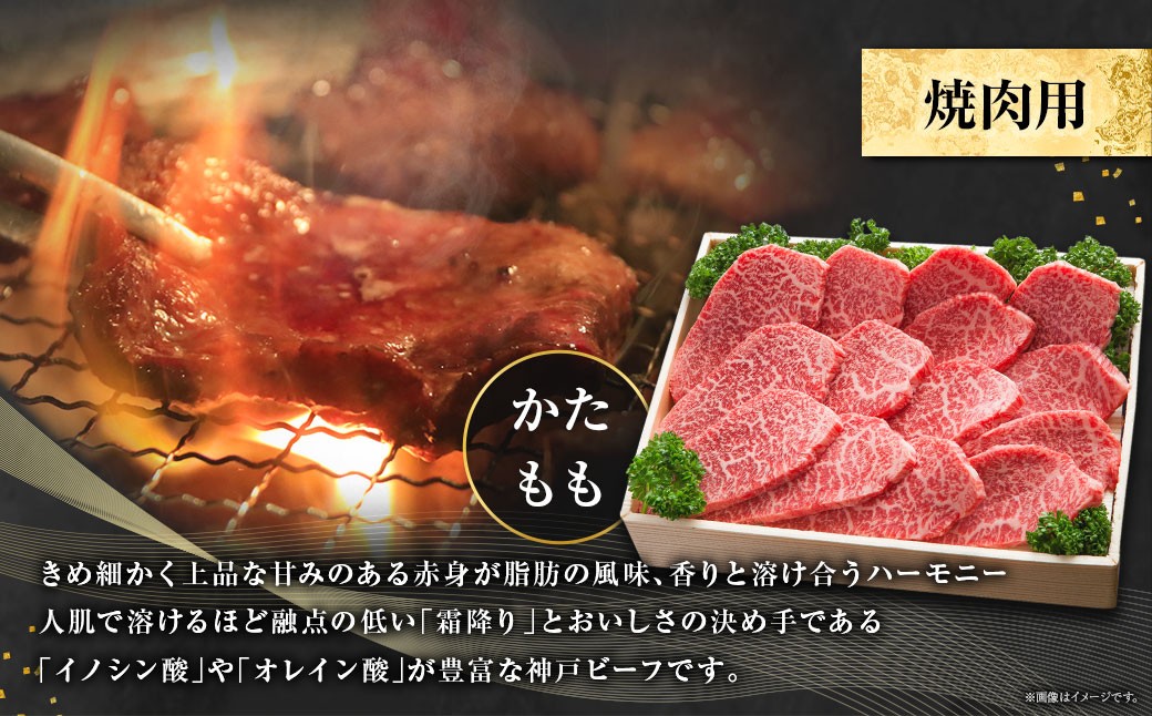 神戸牛 焼肉用 かた・もも 約500g AKY2
