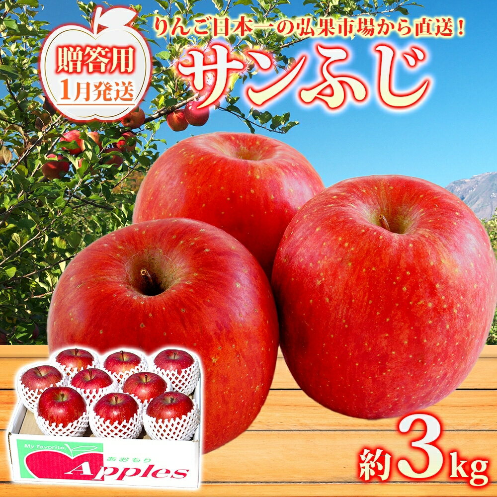 【ふるさと納税】 【1月発送】 贈答用 サンふじ 約3kg りんご 林檎 リンゴ 果物 フルーツ くだもの 旬 青森県産 お取り寄せ 贈り物 プレゼント 人気 東北 名産 常温 産地直送 送料無料 青森県 西目屋村　お届け：2027年1月中