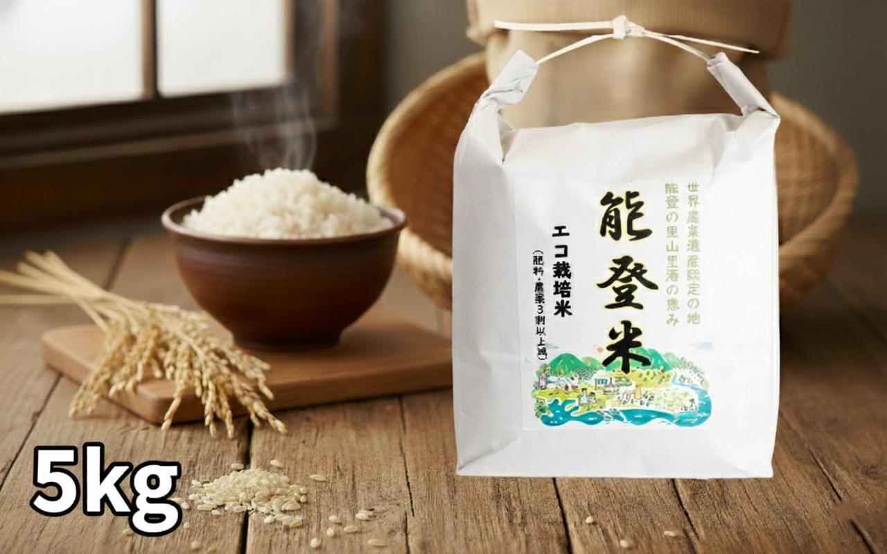 
            数量限定 コシヒカリ 5kg 1袋 令和7年産 のと米 精米 羽咋 米 能登 こしひかり 能登米 化学肥料農薬 3割 以上 減農 新米 こだわり 石川県産 能登米 エコ 栽培 環境 白米 こめ コメ お米 2025年産 おこめ 精米 R7 ご飯 ごはん 送料無料 R7 数量 限定 ギフト 白飯 新米 予約 ふるさと納税 能登 石川 羽咋 はくい 北陸 災害 復興 支援 復興支援
          