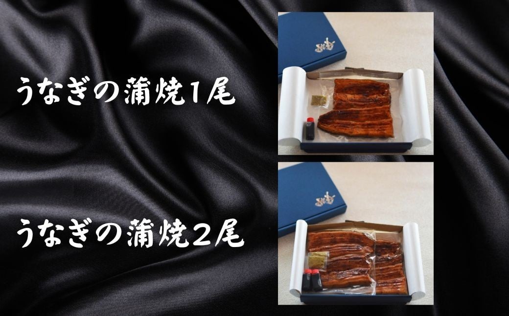 国産 うなぎの蒲焼 【1尾】 うな菊 たれ付き 鰻 うなぎ 丑の日 魚 魚介 海鮮 肉厚 ジューシー かば焼き 蒲焼き うな重 ひつまぶし うな丼 どんぶり ごはん お米 年末年始 お取り寄せ ギフト