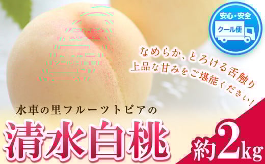 63.【先行予約】 清水白桃 約2kg 水車の里フルーツトピア 《7月中旬-8月上旬頃出荷》 岡山白桃 岡山県 矢掛町 桃 モモ 果物 スイーツ フルーツ デザート