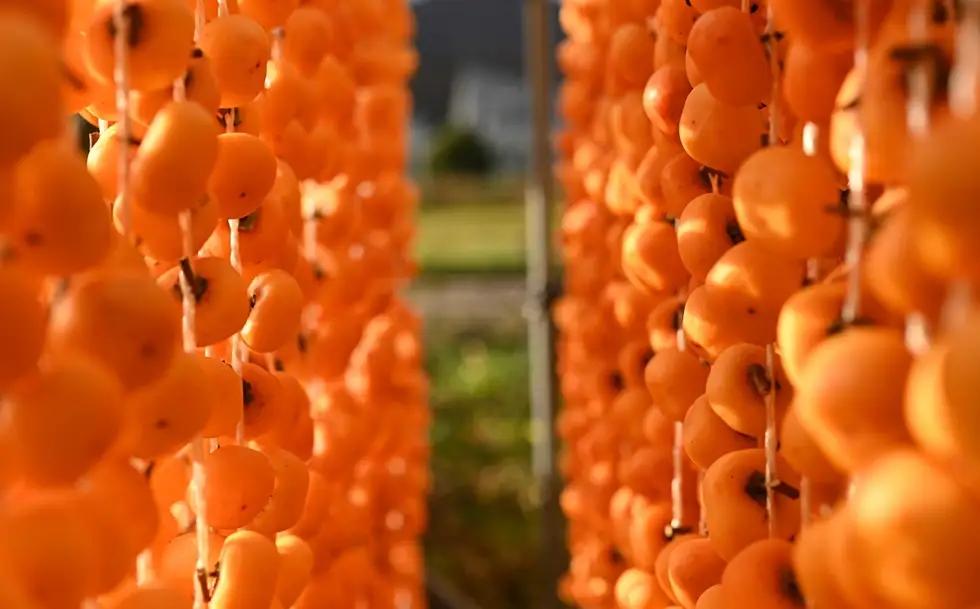 紅干し柿　３２果　２Ｌサイズ　0066-2604