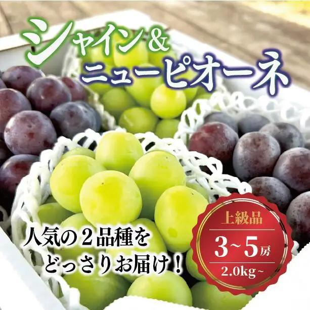 シャインマスカット＆ニューピオーネ 3-5房/計2.0kg～ (岡山県産) 【KF-B070-03】