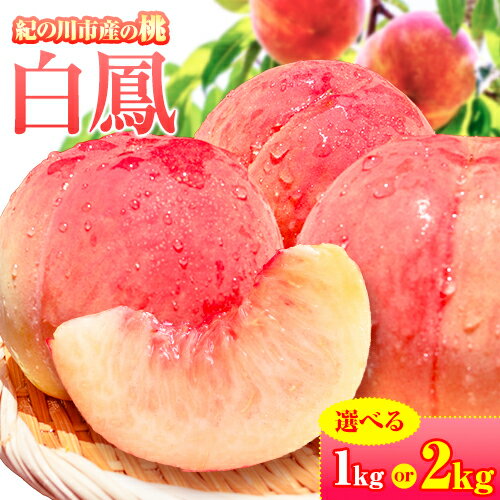 【ふるさと納税】桃 白鳳 紀の川市産 選べる 内容量 約1kg（3玉入り） 約2kg（5～9玉） 紀農人株式会社《2025年6月末-8月末頃出荷》 和歌山県 紀の川市 果物 フルーツ 桃 もも モモ 旬