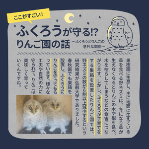 【2025年12月上旬発送】【訳あり】りんご5kg青森産家庭用完熟サンふじ＆色々ミックス