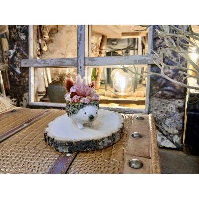 ふるさと納税 河南町 アニマルフラワー(ハリネズミ)