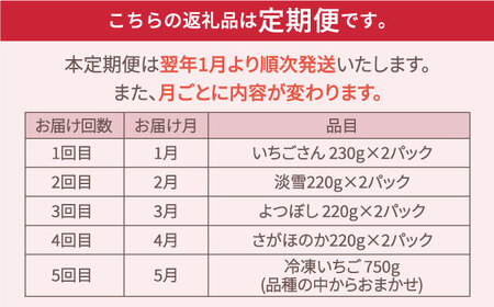 【R8年1月以降発送】【先行予約】【5回定期便】いちご5品種食べ比べ 白いちごも！/ いちご [IAP010]