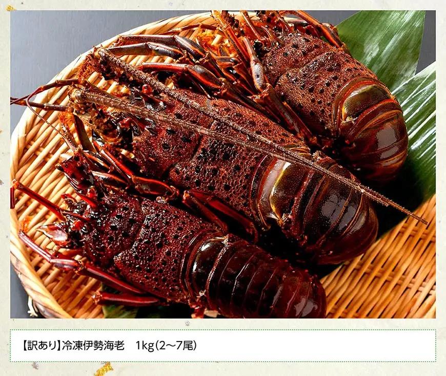 【訳あり！】【漁協直送！】冷凍伊勢海老1kg（2～7尾） 【 伊勢海老 イセエビ 訳あり 魚介 】