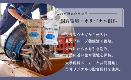 炭火手焼き 愛知県三河一色産　うなぎ蒲焼き　特大　2尾（1尾あたり186g以上）・U037