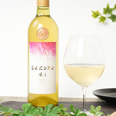 ふるさと納税 佐倉市 【数量限定】佐倉産初!ワイン　厳選3本セット　赤・白・オレンジワイン |  | 01