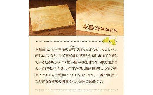 くにさき六郷舎の銀杏のまな板2枚組_29019B_イメージ3
