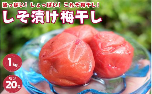 紀州南高梅 しそ漬け梅 1kg 塩分20% 添加物不使用 / 梅 うめ ウメ  梅干し 梅干 しそ 紫蘇 シソ しそ漬け 紫蘇漬け 南高梅 紀州南高梅 和歌山県 田辺市 【aoi013-2】
