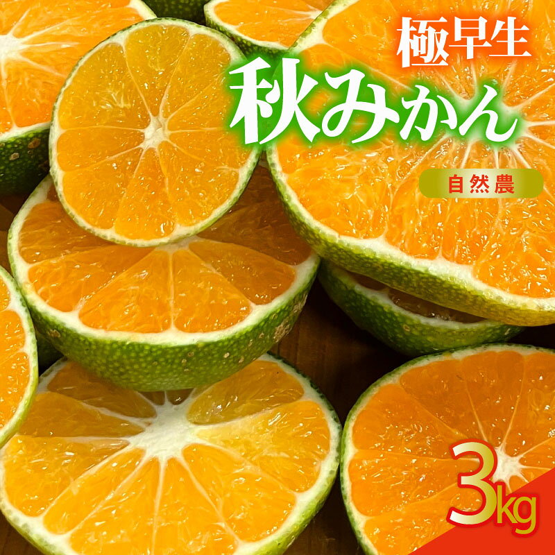 【ふるさと納税】 極早生 秋みかん 訳あり 約3kg 自然農法 早生みかん 柑橘 国産 フルーツ 旬 家庭用 ジュース作り おやつ 産地直送 西浦みかん ミカン 沼津市 静岡県