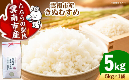米 雲南市産きぬむすめ 5kg  [AIDB099] 米