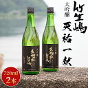 【ふるさと納税】【I-629】吉田酒造　天祐一献　竹生嶋　大吟醸　720ml×2本【高島屋選定品】