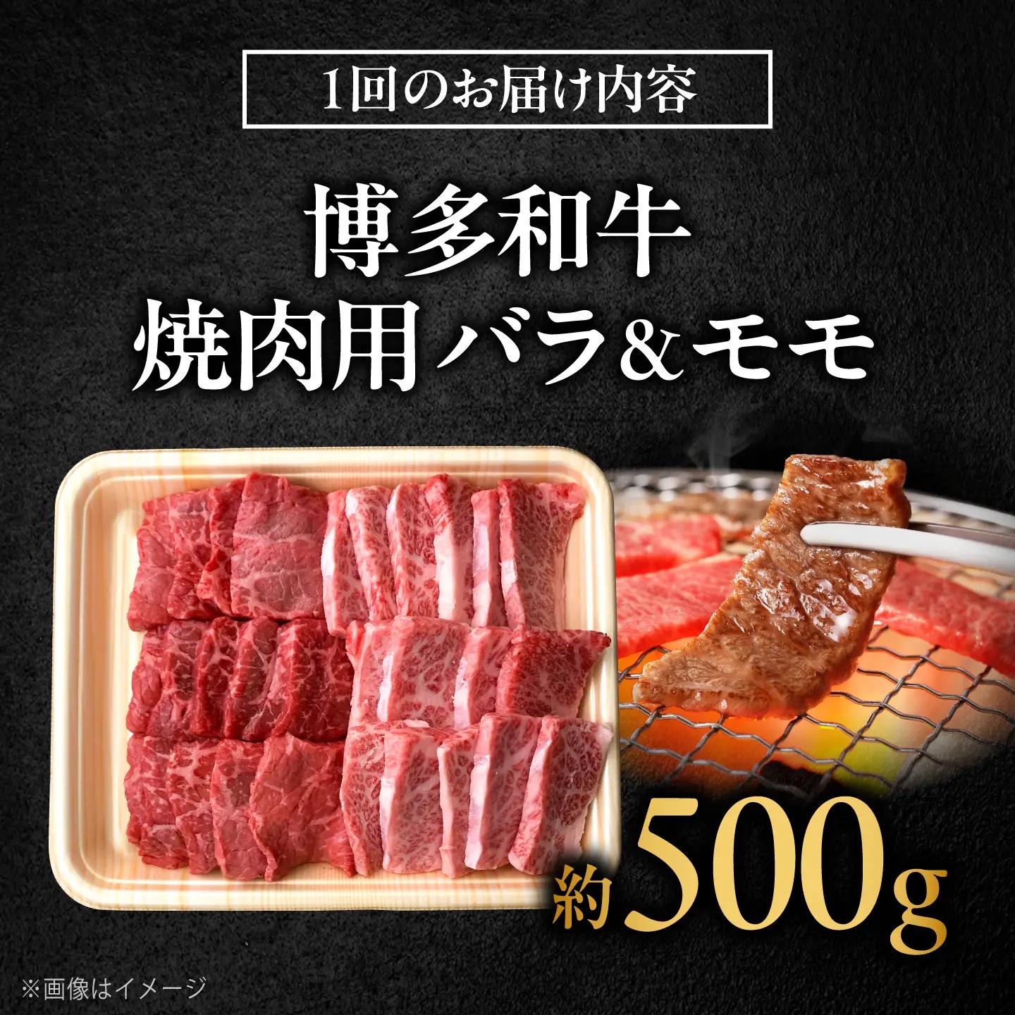 【全3回定期便】博多和牛 牛肉 焼肉 バラ モモ 500g 吉富町/肉のくまもと屋[BGBY061]