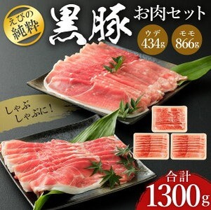 えびの純粋 黒豚お肉セット (ウデ434g・モモ866g) 合計1300g 1.3kg しゃぶしゃぶ スライス 豚肉 ギフト 贈り物 お礼 お祝い 高級 冷凍 送料無料