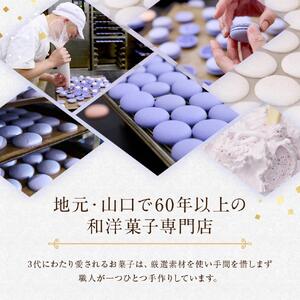 リボン付 マカロン 5個入 天使がくれたマカロン お菓子