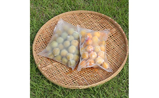 農薬を使用していない南高梅　trgk003A