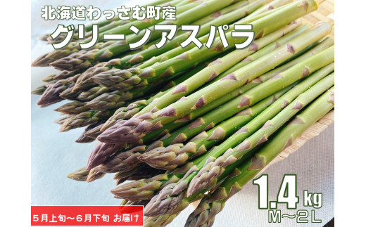 【ふるさと納税】《令和8年産》北海道グリーンアスパラ1.4kg／和寒町産
