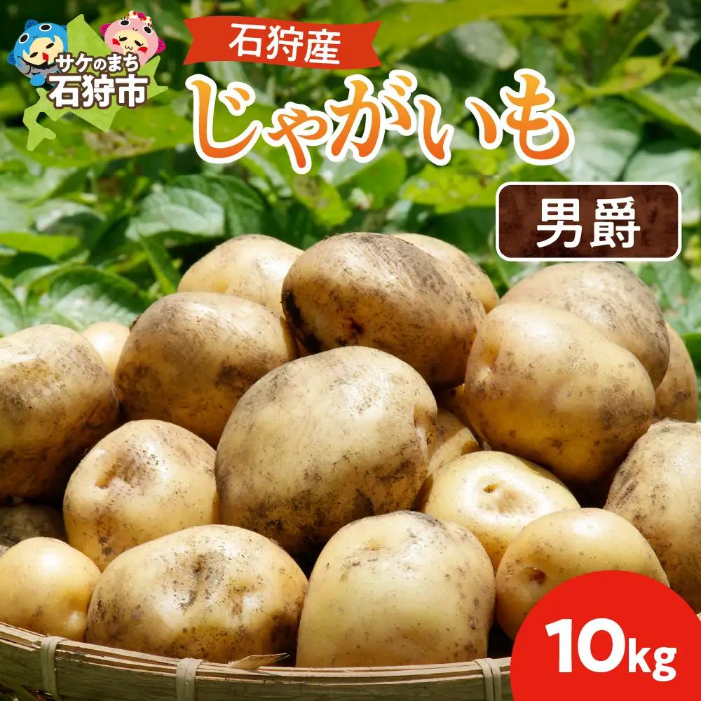 石狩産じゃがいも（男爵）10kg【9月発送】｜ ふるさと納税 北海道産 じゃがいも 野菜 北海道 石狩市