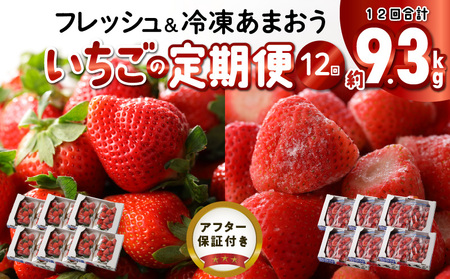 【いちごの年間定期便】　あまおう　約５６０ｇ（約２８０ｇ×２パック）× １２月～５月まで計６回　　 冷凍あまおう　１０００ｇ（５００ｇ×２パック）×６月～１１月まで計６回_Fi052_いちご 定期便 12回 あまおう 冷凍あまおう 合計約9360g ヨーグルト アイス ジャム スムージー 食べごたえのある大きさ おいしい果汁 たくさんの栄養素 風邪予防 健康 アンチエイジング 美容 果物 フルーツ スイーツ 久留米市 お取り寄せ 送料無料