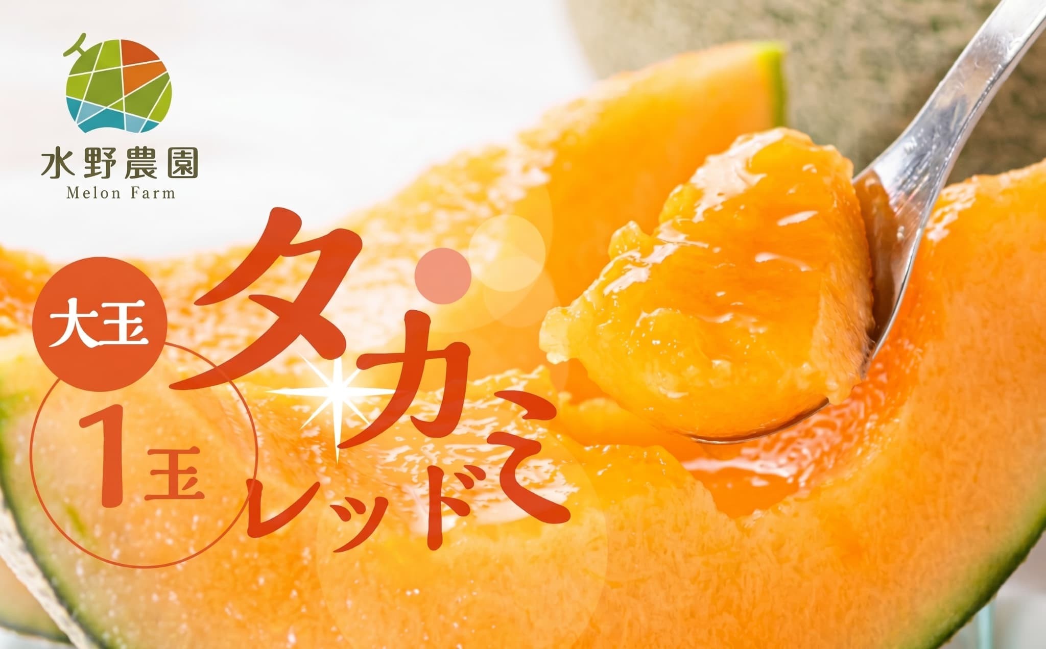 
                  【先行予約】2027年6月発送　水野農園産タカミレッド　大玉１玉
                