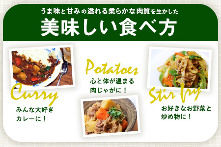 熊本県産甘み溢れるモンヴェールポークこま切れ2kg(250g×8パック)《60日以内に出荷予定(土日祝除く)》熊本県 葦北郡 津奈木町 肉ののうやま 有限会社のうやま 豚肉 豚こま