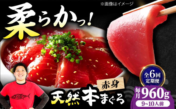 
            【全6回定期便】極上！たね熟天然本まぐろ赤身(960g) 天然 マグロ 鮪 赤身 刺身 魚 魚介 魚介類 海鮮丼 本マグロ 本まぐろ 本鮪 赤身 大トロ 冷凍 お刺身 お寿司 大阪府高槻市/本まぐろ直売所 [AOCE020]
          