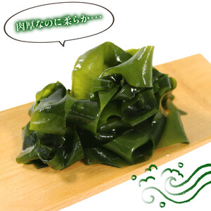 芯抜き 塩蔵 わかめ 250g×2袋