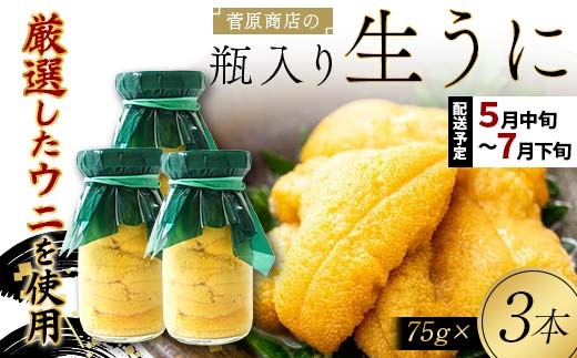 【うれしい食べきりサイズ75g】  牛乳瓶入り生うに 【2027年先行予約】 菅原商店 生うに 75g×3本 国産 三陸山田 岩手県 山田町 三陸 旬 うに 牛乳瓶 無添加 ウニ 雲丹 うに丼 無添加ウニ キタムラサキウニ 特選 ミョウバン不使用