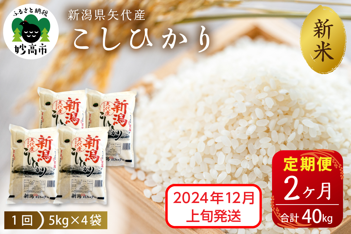 【2024年12月上旬発送】【定期便】令和6年産 新潟県矢代産コシヒカリ20kg(5kg×4袋)×2回（計40kg）