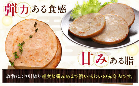 【全12回定期便】【訳あり】【結着剤・発色剤・保存料不使用】 放牧豚 ボロニア厚切りスライスソーセージ 3枚x10セット（130g/パック） 訳あり ソーセージ ウインナー 無塩せき 冷凍配送 セット