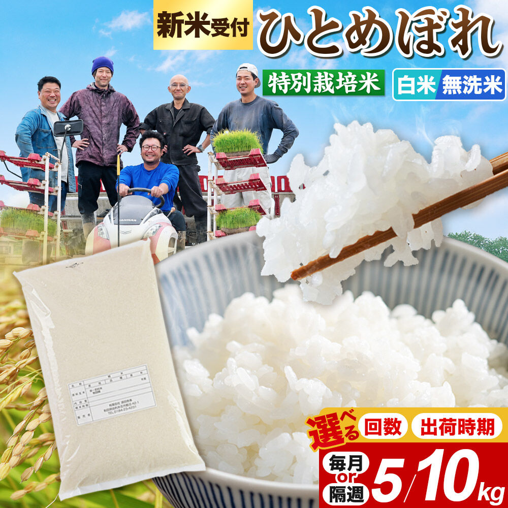 【ふるさと納税】令和8年産 新米受付【白米／無洗米】ひとめぼれ 特別栽培米【選べる容量：5kg・10kg（5kg×2袋）／お届け回数：毎月・隔週／出荷時期（1回のみ）】定期便 秋田県産 [ひとめぼれ 米 お米 白米 精米 無洗米 特別栽培米 ブランド米]