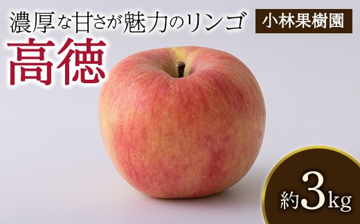 
                  【小林果樹園】 福島県伊達市産 ひと口で広がる 濃厚な甘さ りんご 高徳 約3kg F21C-535
                