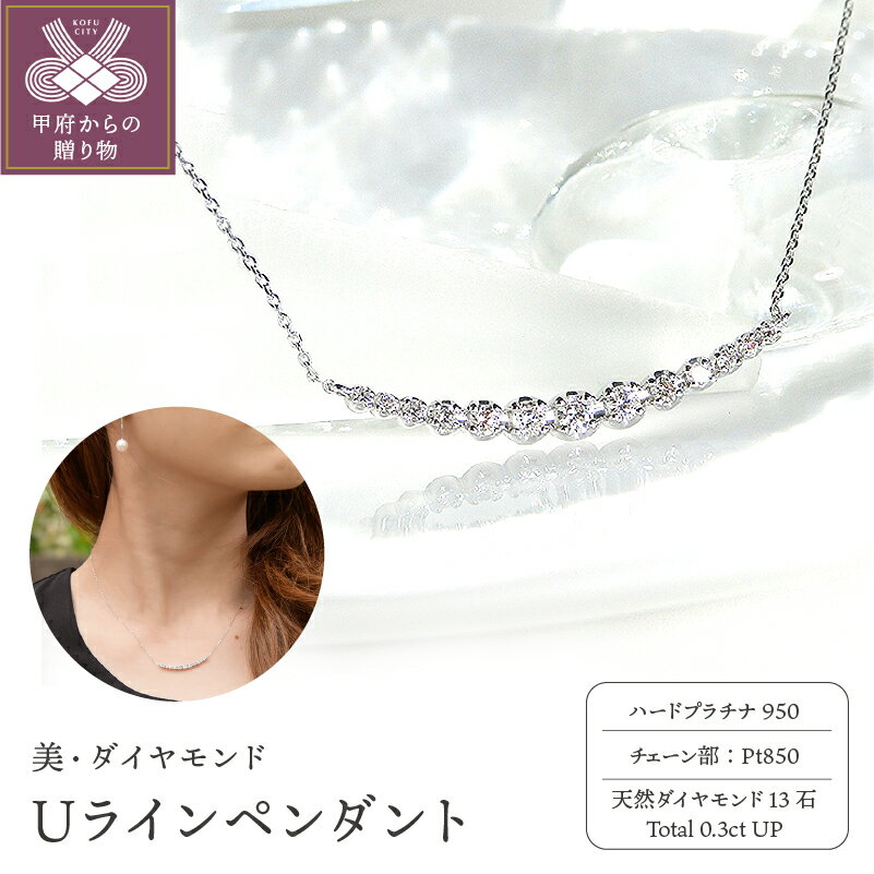 【ふるさと納税】＜ 甲府ジュエリー ＞ ペンダント ネックレス レディース ジュエリー アクセサリー プラチナ ダイヤモンド 0.3ct ライン ジュエリーケース付き ギフト ラッピング 贈り物 鑑別カード付 保証書付 k167-021