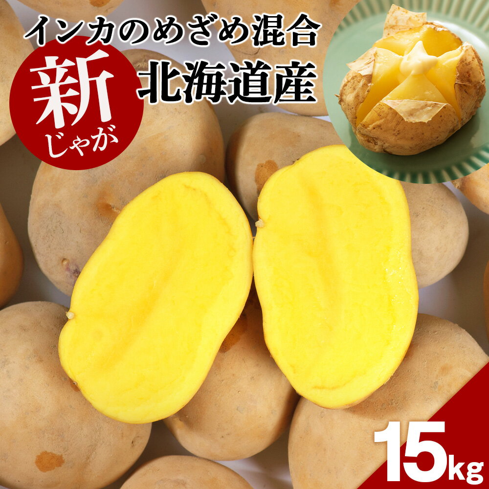 【ふるさと納税】【 2025年 新じゃが 】インカのめざめ 混合 15kg いも 芋 じゃがいも ジャガイモ インカ 野菜 北海道 千歳【北海道千歳市】野菜 じゃがいも
